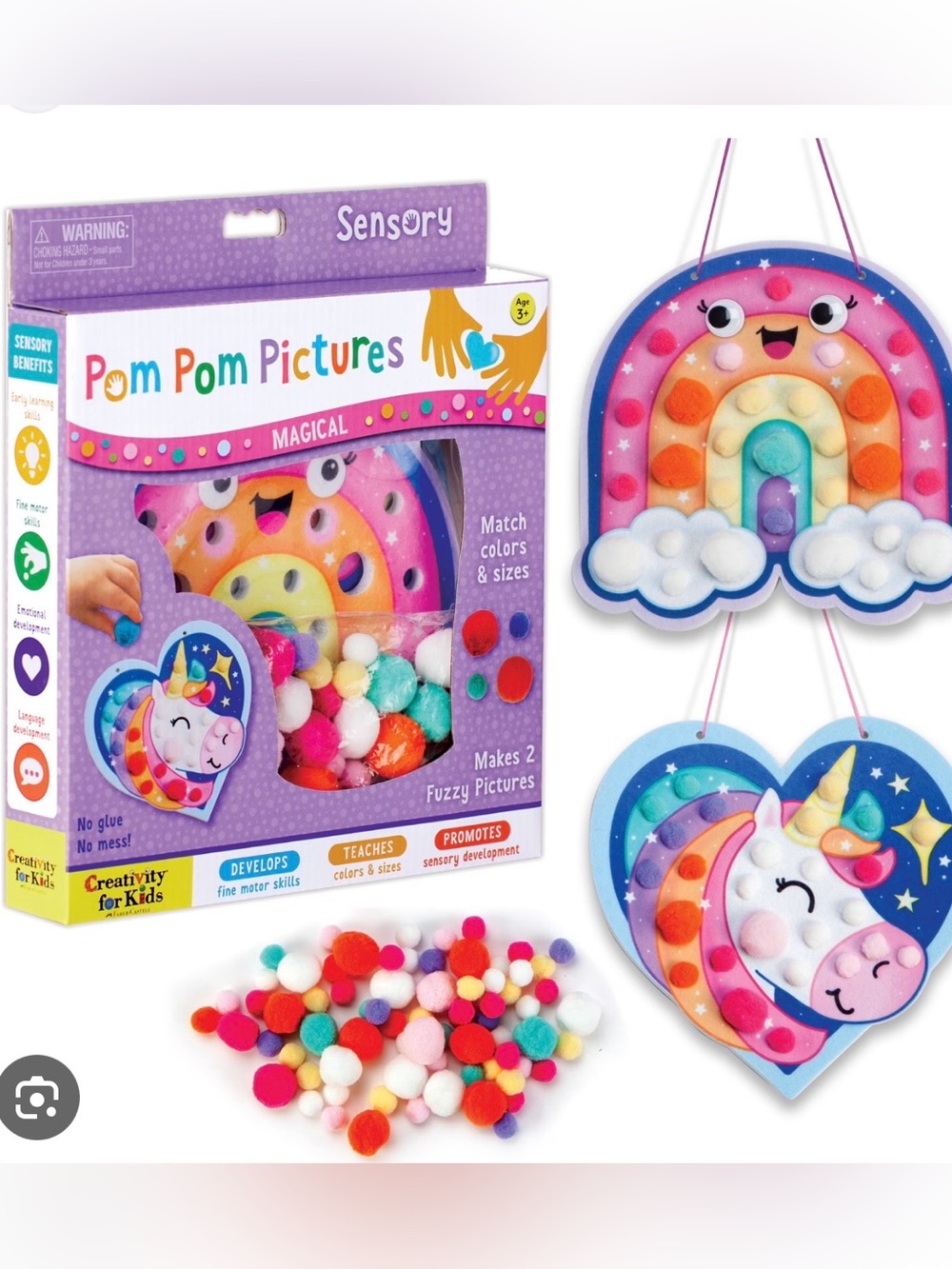 Pom Pom Pictures Craft Kit - Multicolor